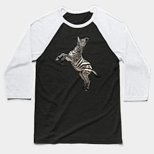 Zebra International Collaboration Baseball T-Shirt